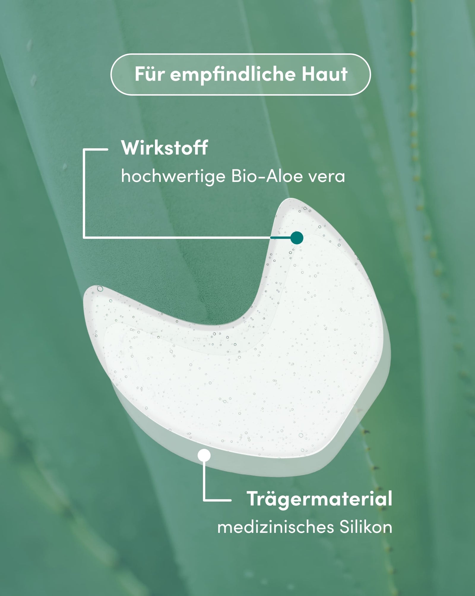 Aloe vera Augen- und Schläfenpads