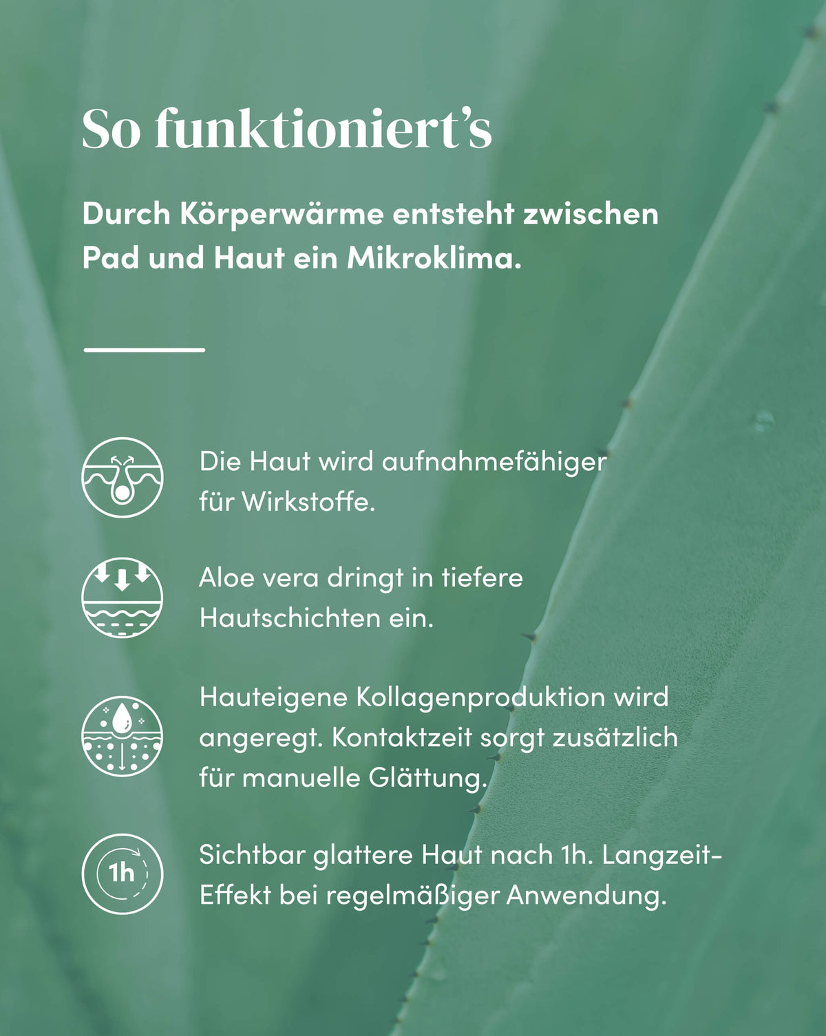 Erklärung der Wirkweise des Dekolleté Pad mit Aloe vera für sichtbar glattere Haut