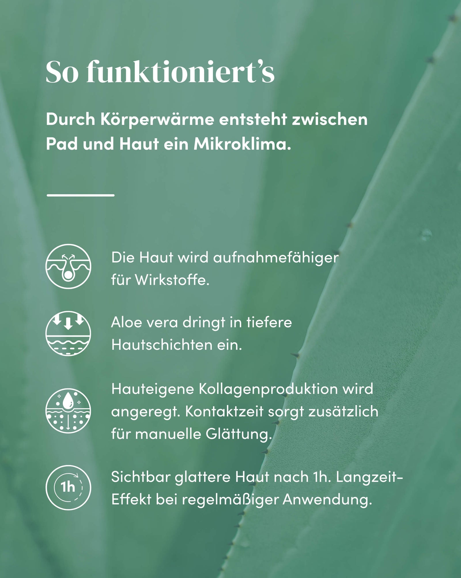 Dekolleté Pad mit Aloe vera