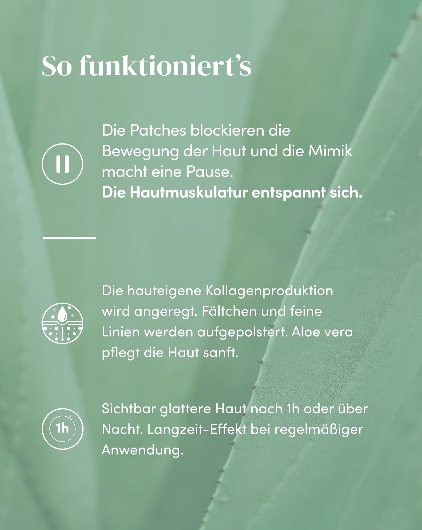 Aloe vera Mund Patches für strahlende Haut