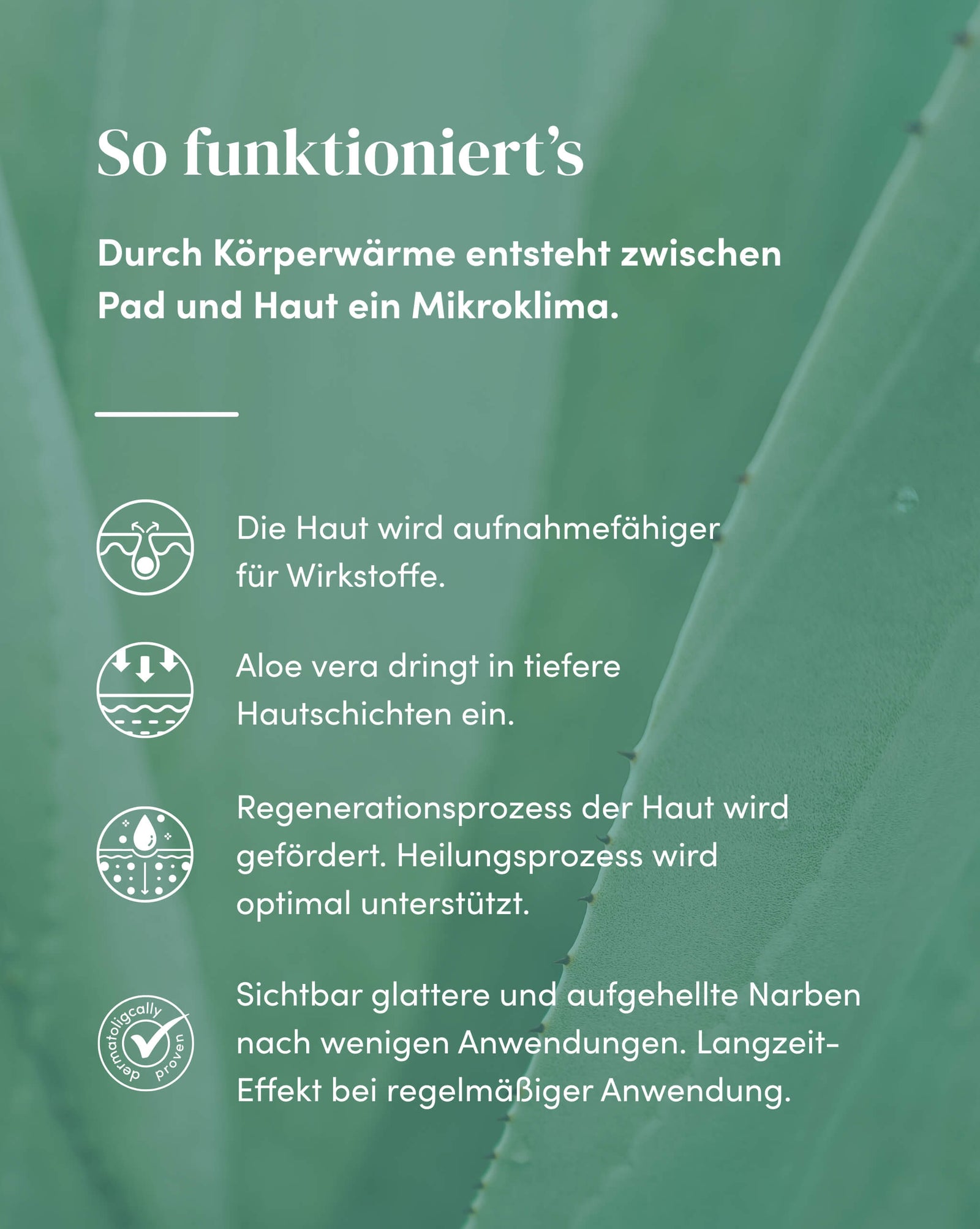 Aloe vera Narbenpads für schnelle Heilung