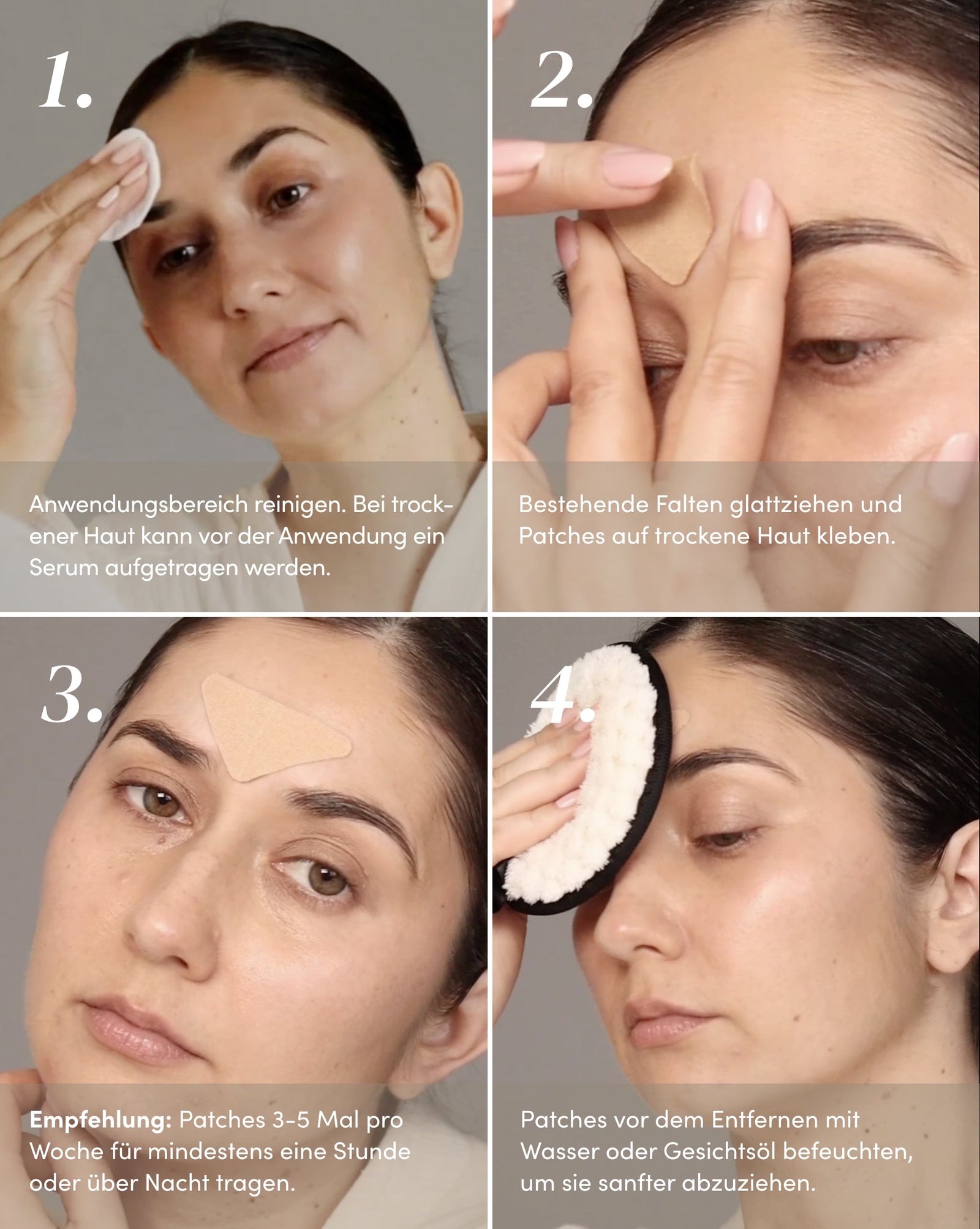 Apricot \, image size:1600x2006