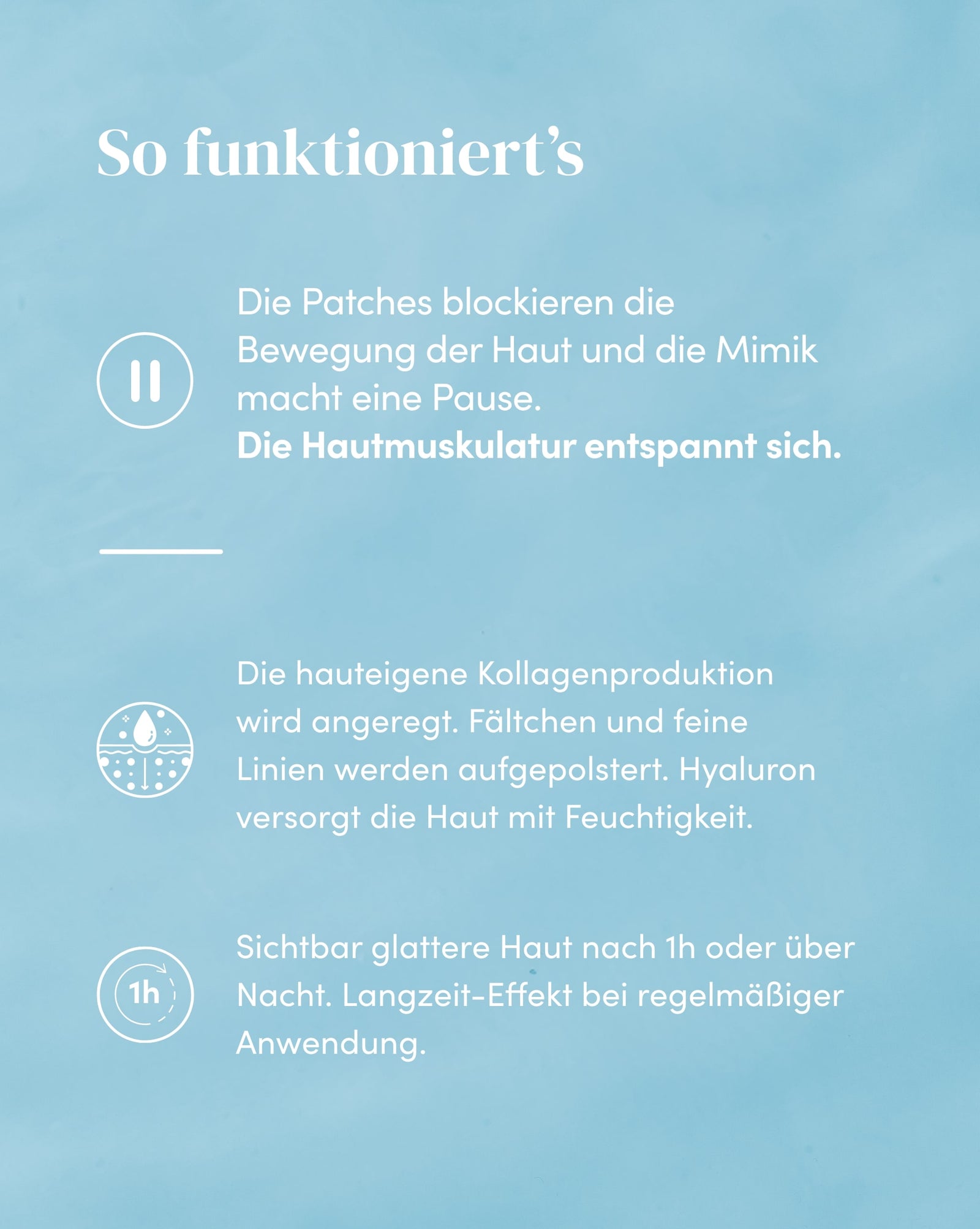 Apricot \, image size:1600x2006