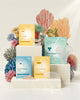 Summer Glow Premium Set
